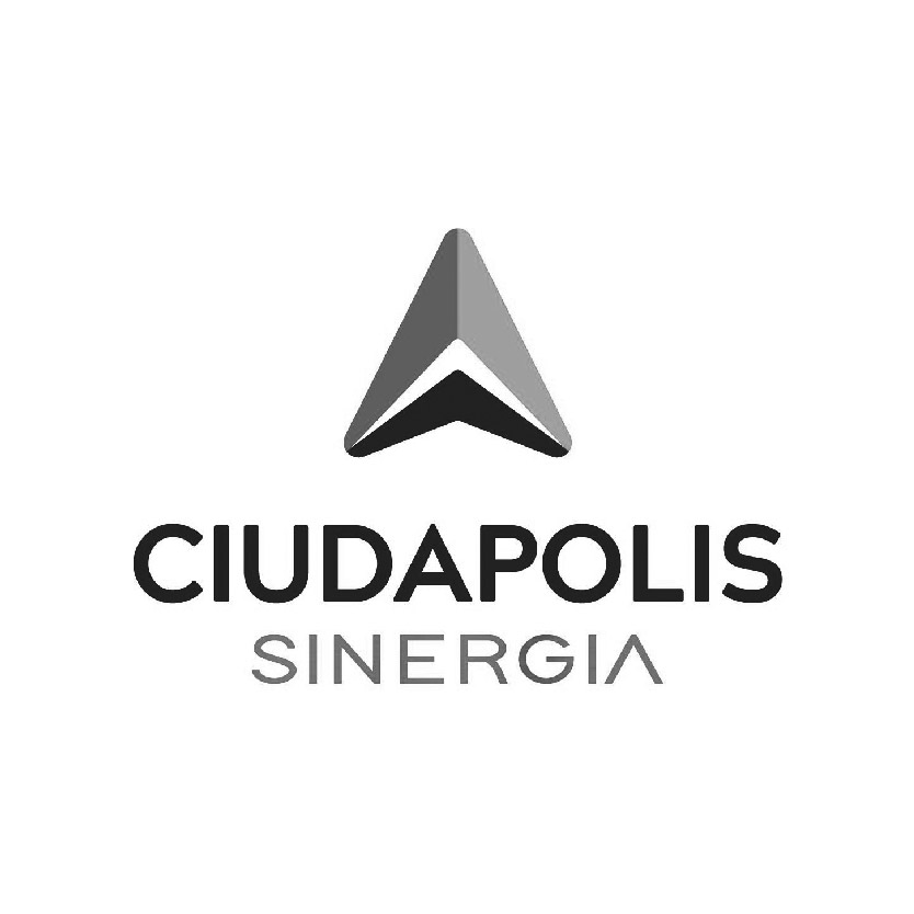 ciudapolis sinergia